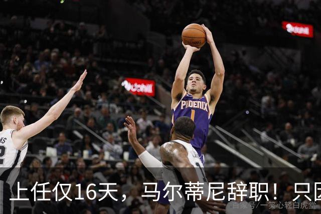 上任仅16天，马尔蒂尼辞职！只因心仪主帅皮尔洛被意大利足协否决