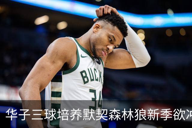 华子三球培养默契森林狼新季欲冲佳绩