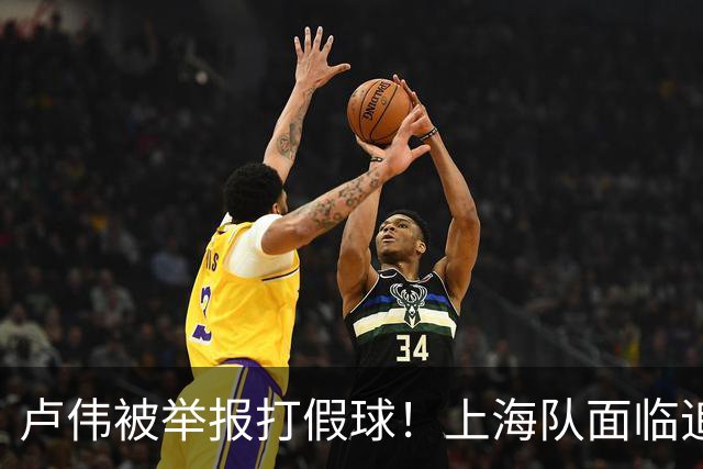 卢伟被举报打假球！上海队面临追罚，张镇麟坑惨球队