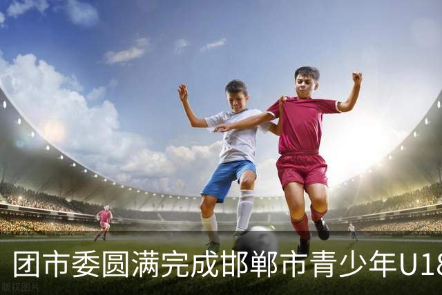 团市委圆满完成邯郸市青少年U18足球比赛青年志愿者岗前培训工作