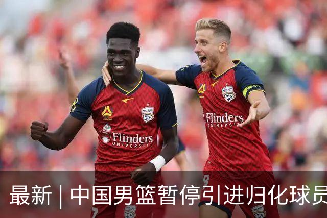 最新 | 中国男篮暂停引进归化球员