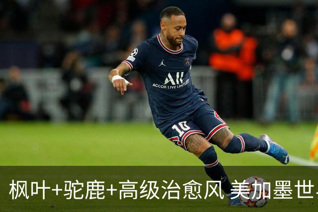 枫叶+驼鹿+高级治愈风 美加墨世界杯加拿大赛区开幕